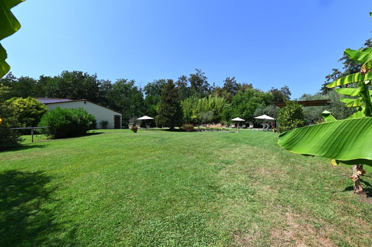 Agriturismo Corte Stefani Capannori Εξωτερικό φωτογραφία
