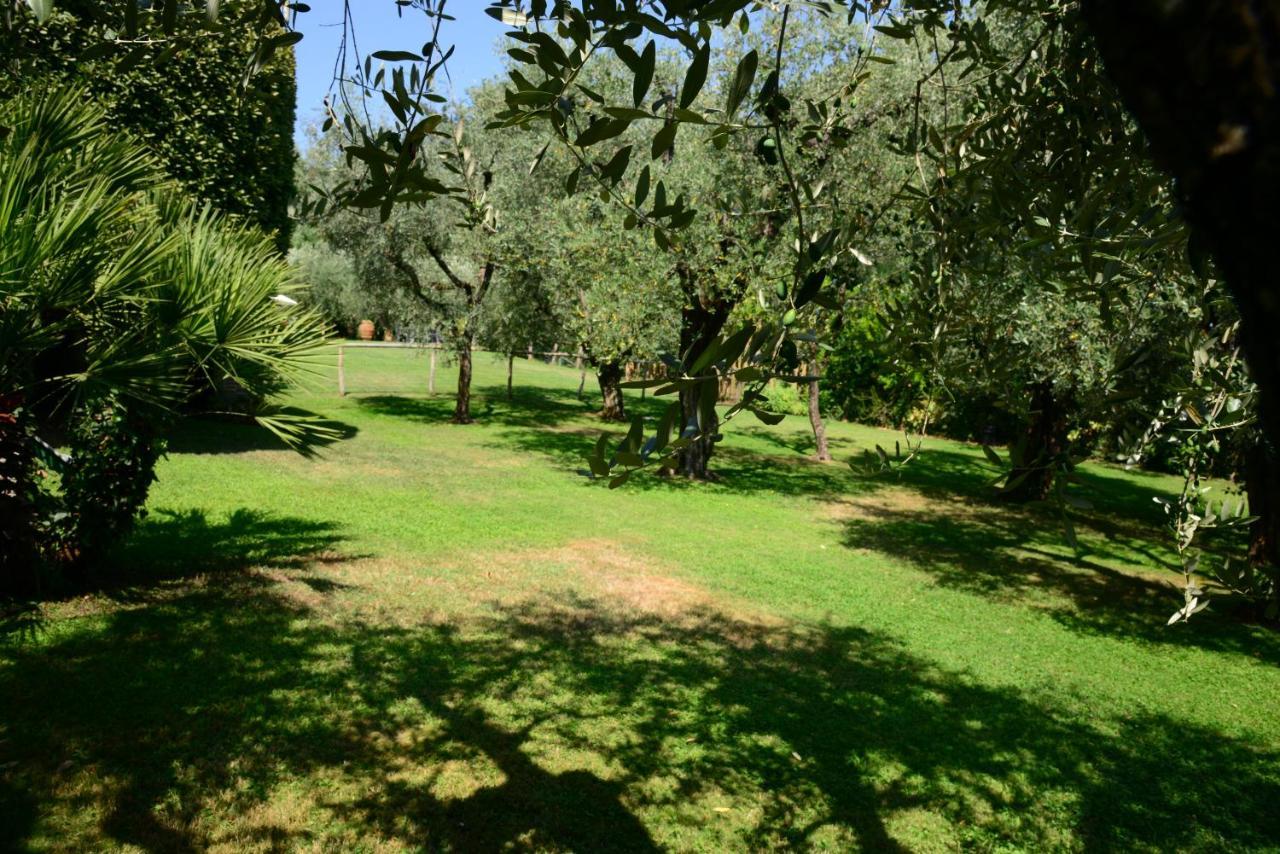 Agriturismo Corte Stefani Capannori Εξωτερικό φωτογραφία