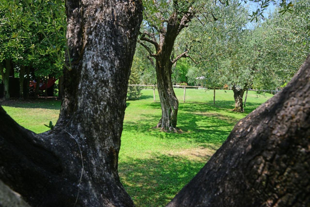 Agriturismo Corte Stefani Capannori Εξωτερικό φωτογραφία