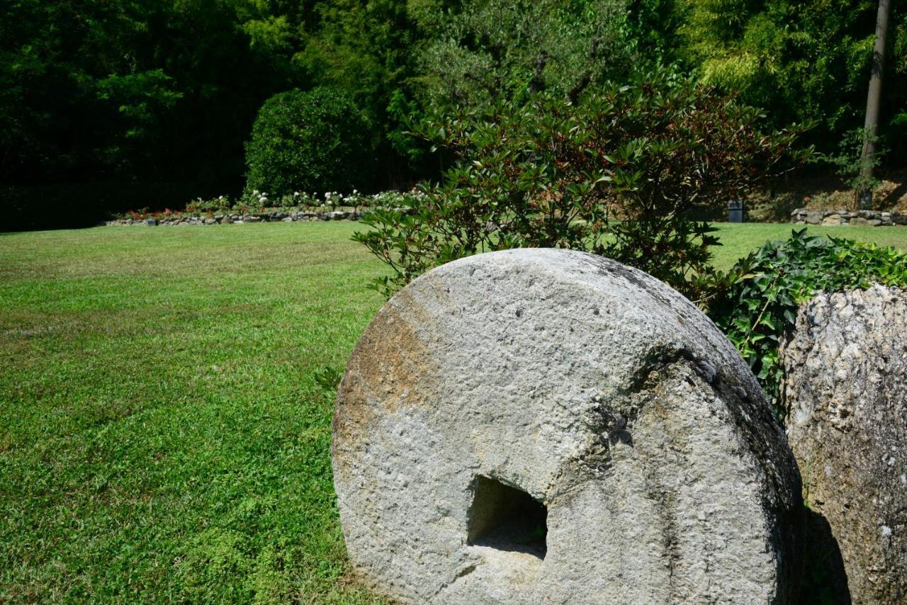 Agriturismo Corte Stefani Capannori Εξωτερικό φωτογραφία