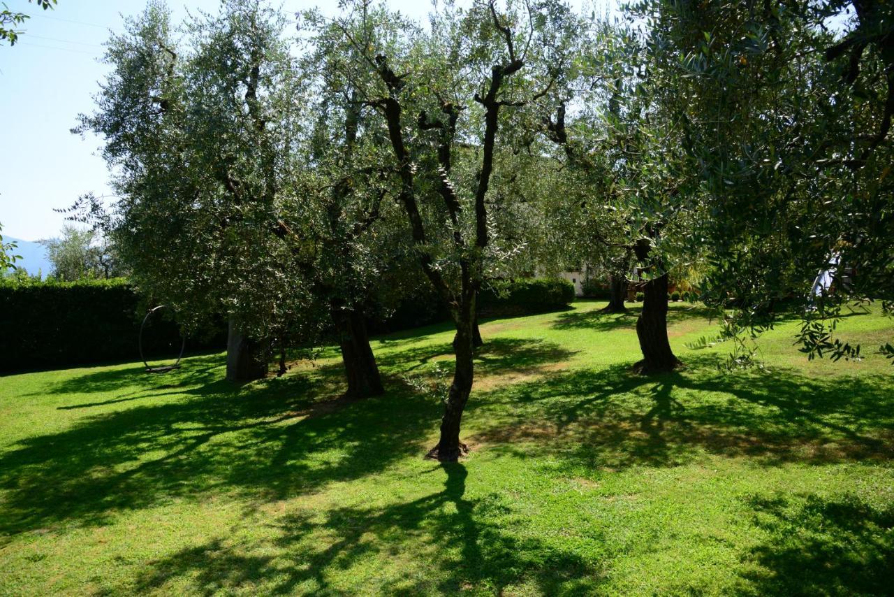 Agriturismo Corte Stefani Capannori Εξωτερικό φωτογραφία