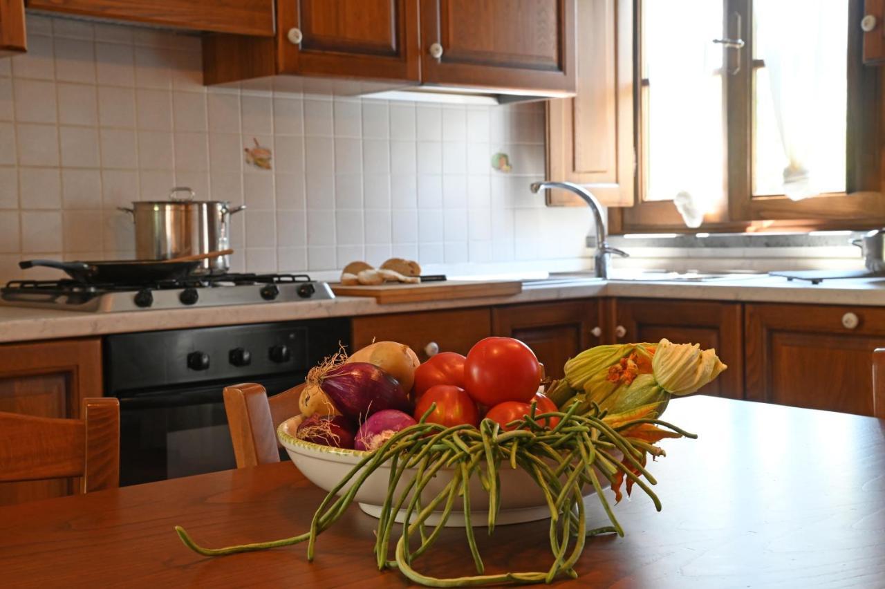 Agriturismo Corte Stefani Capannori Εξωτερικό φωτογραφία