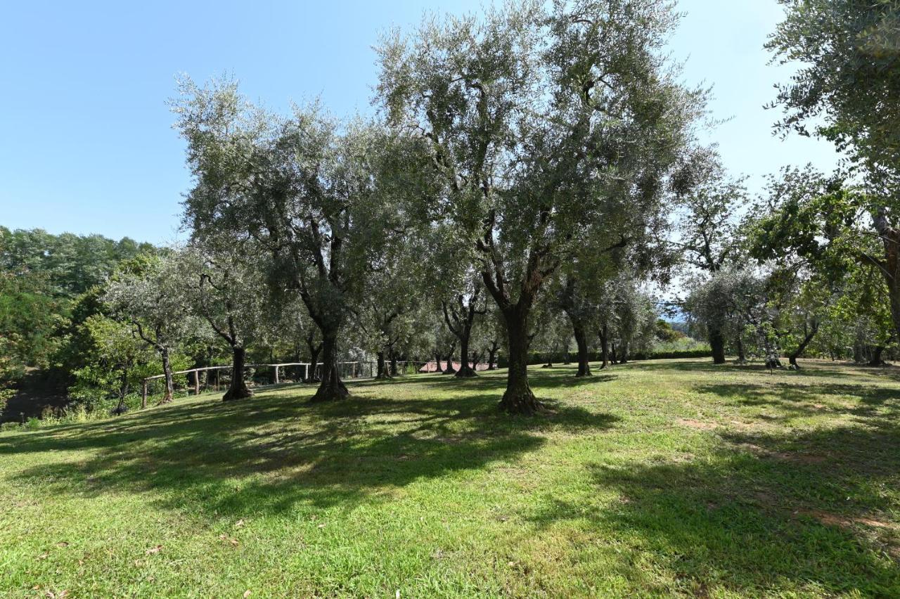 Agriturismo Corte Stefani Capannori Εξωτερικό φωτογραφία