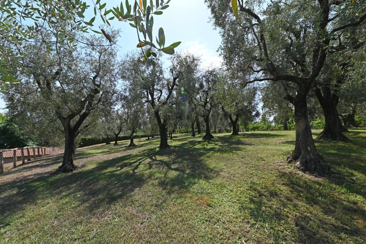 Agriturismo Corte Stefani Capannori Εξωτερικό φωτογραφία